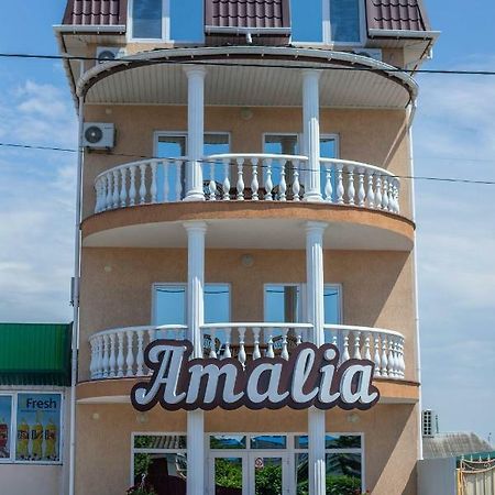 Amalia Hotel Zaliznyi Port Exterior foto