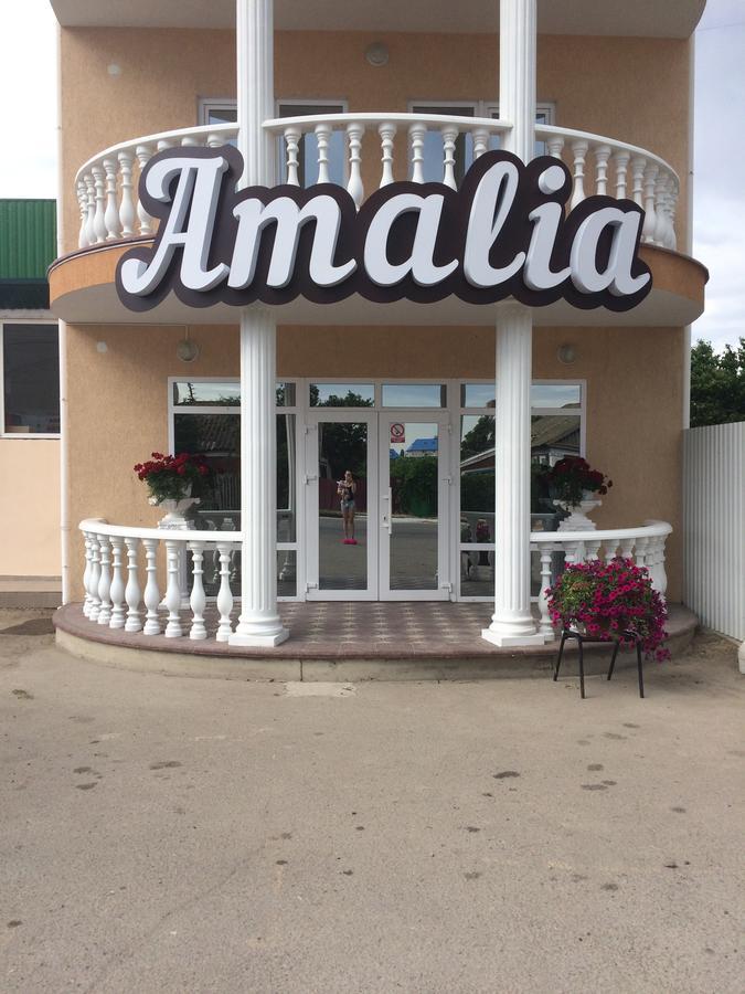 Amalia Hotel Zaliznyi Port Exterior foto