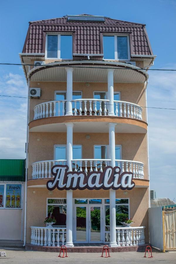 Amalia Hotel Zaliznyi Port Exterior foto